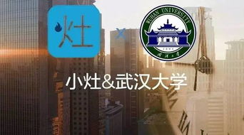 小灶 x26amp 武漢大學(xué) 四大和互聯(lián)網(wǎng)企業(yè),你會選哪個(gè)