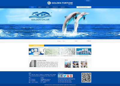 武漢金福達企業(yè)網站設計建設