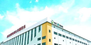 武漢跨境電商企業出口 免稅 了