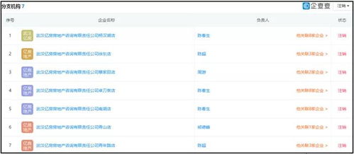 湖北消金合作方為客戶擔保引發關注，法院判決書揭示最高收取2%服務費
